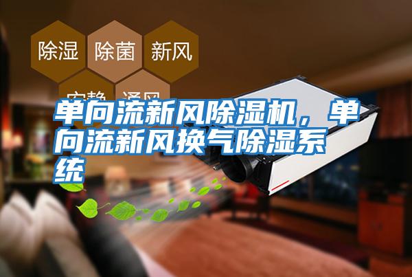 單向流新風除濕機，單向流新風換氣除濕系統