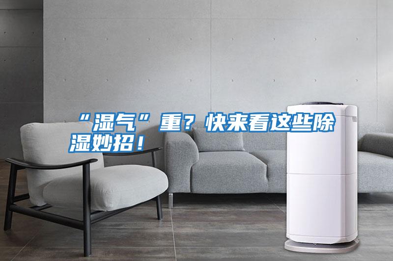 “濕氣”重？快來看這些除濕妙招！