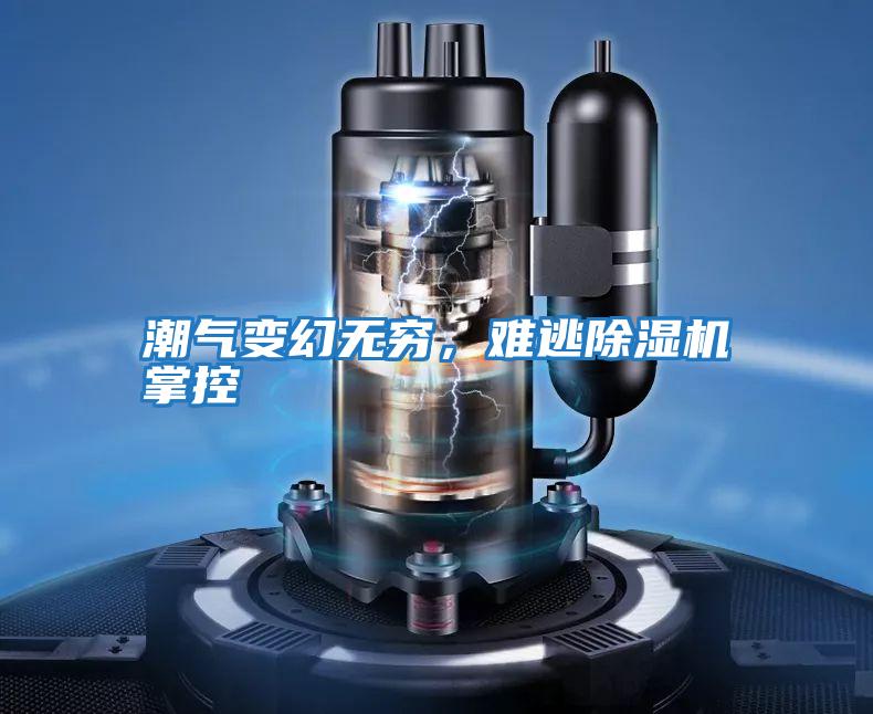 潮氣變幻無窮，難逃除濕機掌控