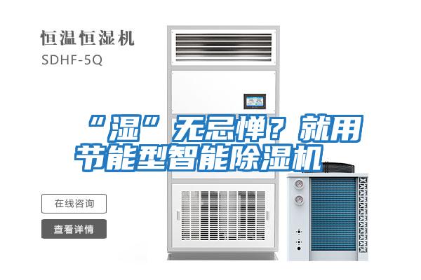“濕”無忌憚？就用節能型智能除濕機