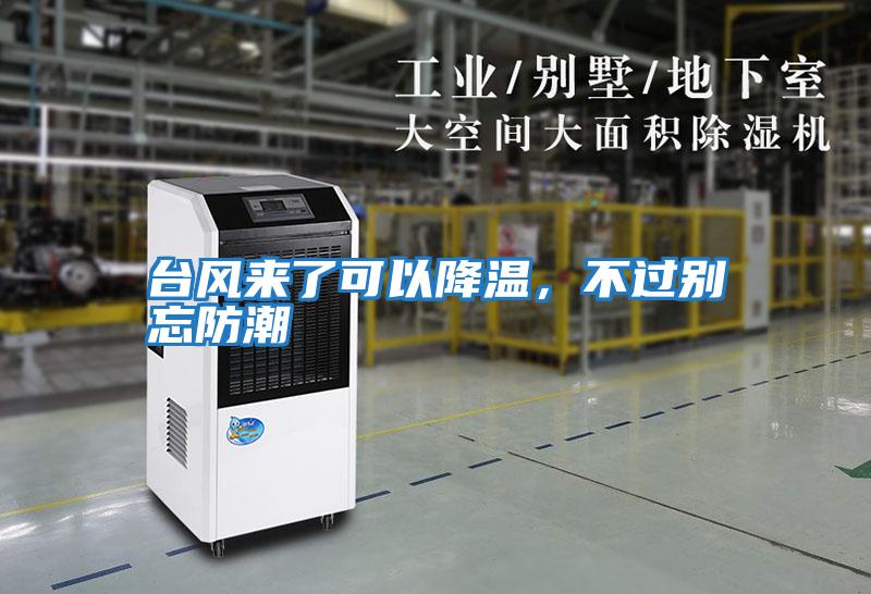 臺風來了可以降溫，不過別忘防潮