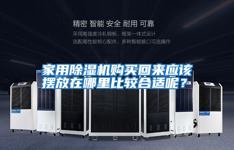 家用除濕機購買回來應該擺放在哪里比較合適呢?