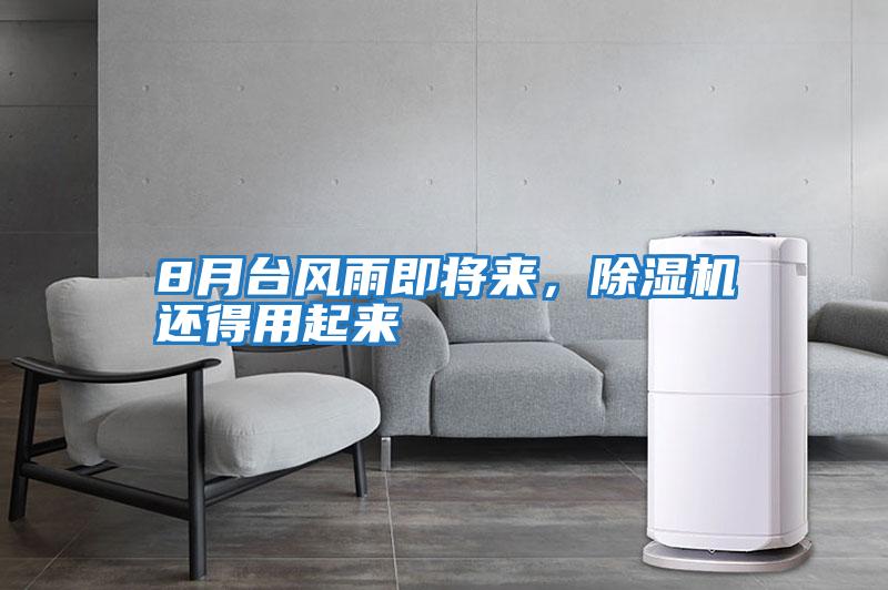 8月臺(tái)風(fēng)雨即將來(lái)，除濕機(jī)還得用起來(lái)
