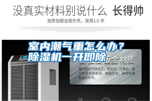 室內潮氣重怎么辦？除濕機一開即除