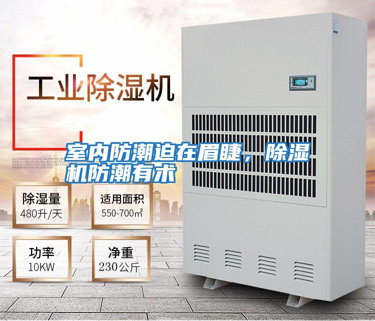 室內防潮迫在眉睫，除濕機防潮有術