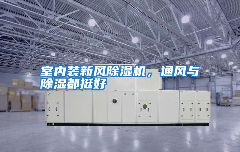 室內裝新風除濕機，通風與除濕都挺好