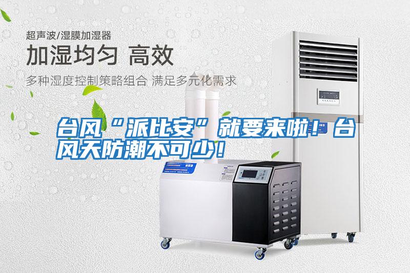 臺(tái)風(fēng)“派比安”就要來(lái)啦！臺(tái)風(fēng)天防潮不可少！