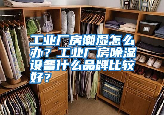 工業廠房潮濕怎么辦？工業廠房除濕設備什么品牌比較好？