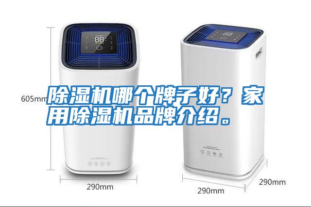 除濕機哪個牌子好？家用除濕機品牌介紹。