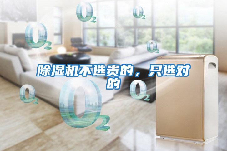 除濕機不選貴的，只選對的