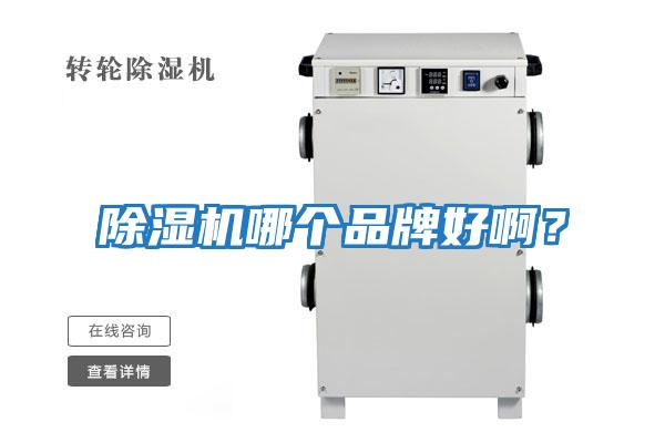 除濕機哪個品牌好啊？