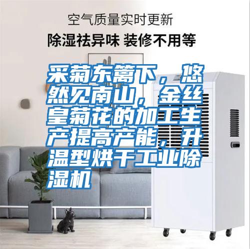 采菊東籬下，悠然見南山，金絲皇菊花的加工生產提高產能，升溫型烘干工業除濕機