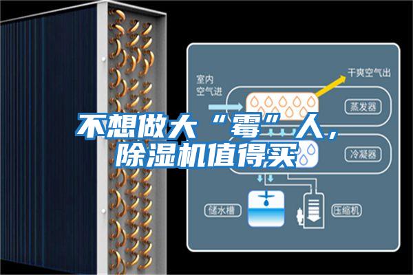 不想做大“霉”人，除濕機值得買