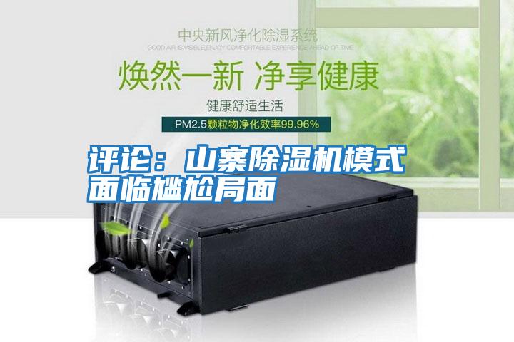 評論:山寨除濕機模式 面臨尷尬局面