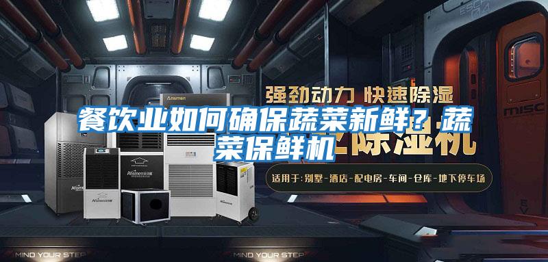 餐飲業如何確保蔬菜新鮮？蔬菜保鮮機