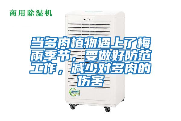 當(dāng)多肉植物遇上了梅雨季節(jié),要做好防范工作,減少對多肉的傷害