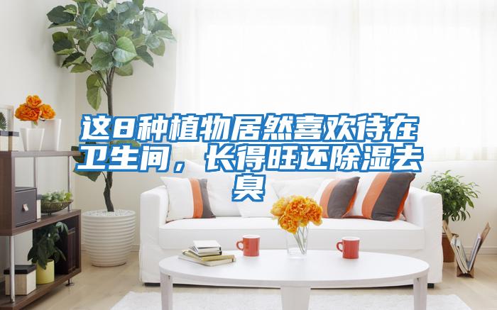 這8種植物居然喜歡待在衛(wèi)生間,長得旺還除濕去臭