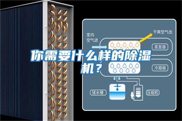 你需要什么樣的除濕機(jī)？