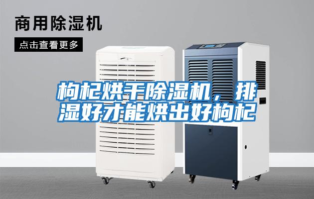 枸杞烘干除濕機(jī)，排濕好才能烘出好枸杞