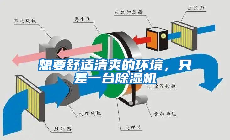 想要舒適清爽的環(huán)境,只差一臺(tái)除濕機(jī)