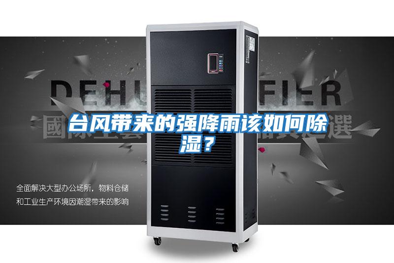 臺風帶來的強降雨該如何除濕？
