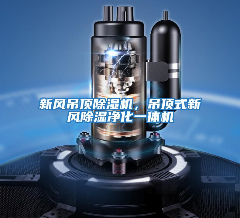 新風吊頂除濕機,吊頂式新風除濕凈化一體機