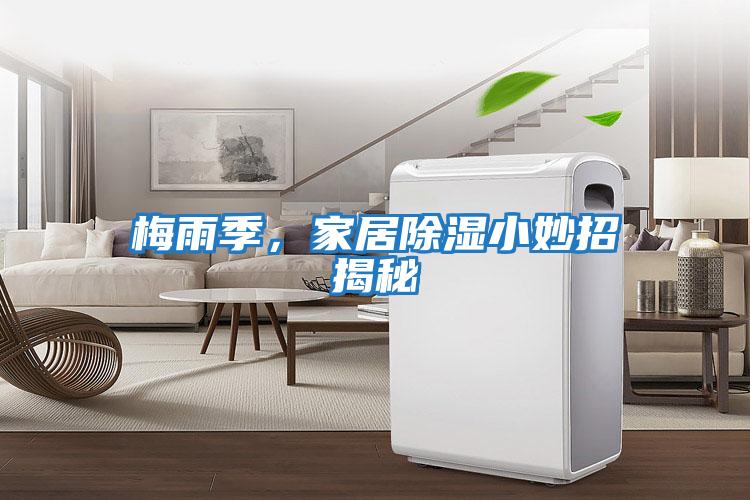 梅雨季,家居除濕小妙招揭秘