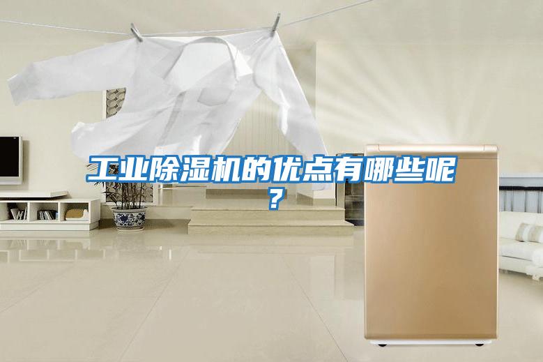工業(yè)除濕機(jī)的優(yōu)點(diǎn)有哪些呢？
