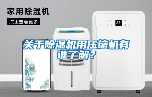 關(guān)于除濕機用壓縮機有誰了解？