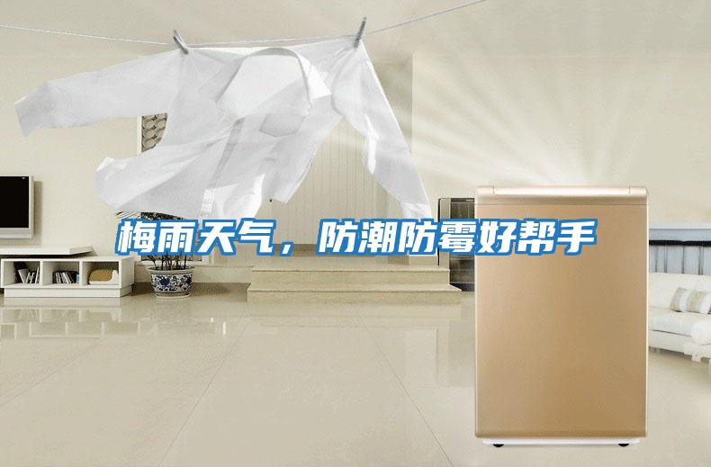 梅雨天氣，防潮防霉好幫手