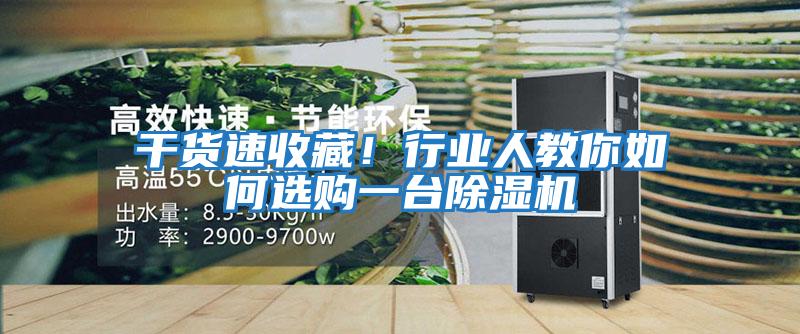 干貨速收藏！行業人教你如何選購一臺除濕機