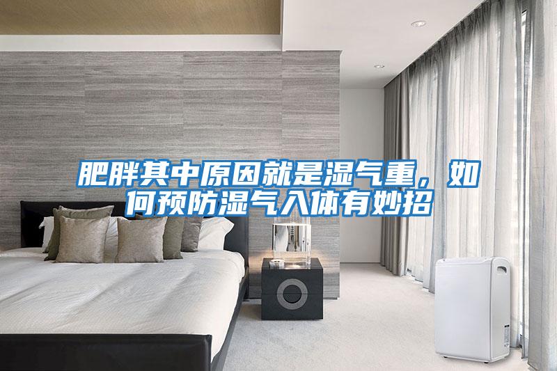 肥胖其中原因就是濕氣重，如何預防濕氣入體有妙招