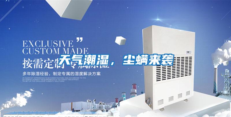 天氣潮濕，塵螨來襲