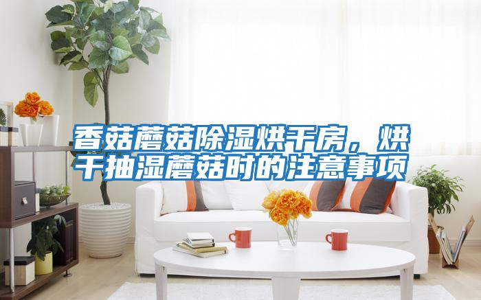 香菇蘑菇除濕烘干房，烘干抽濕蘑菇時的注意事項