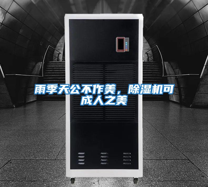 雨季天公不作美，除濕機可成人之美