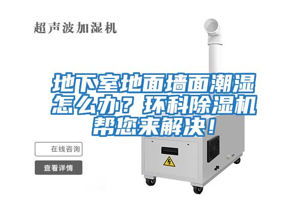 地下室地面墻面潮濕怎么辦？環(huán)科除濕機幫您來解決！