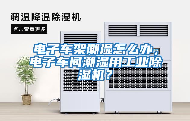 電子車架潮濕怎么辦，電子車間潮濕用工業除濕機？