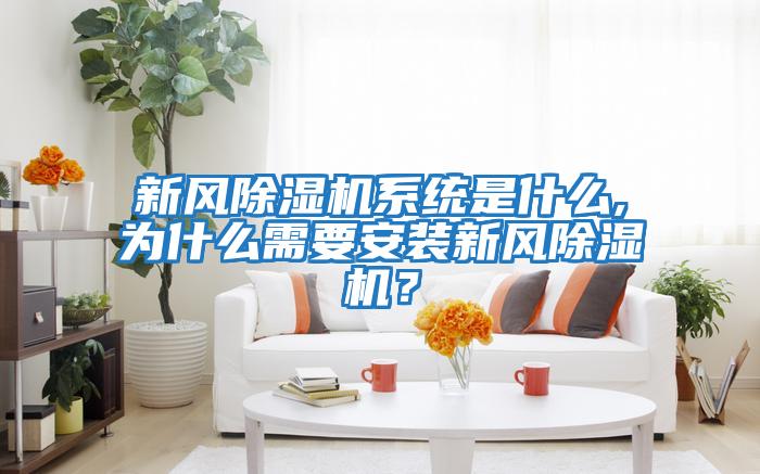 新風(fēng)除濕機系統(tǒng)是什么,為什么需要安裝新風(fēng)除濕機？