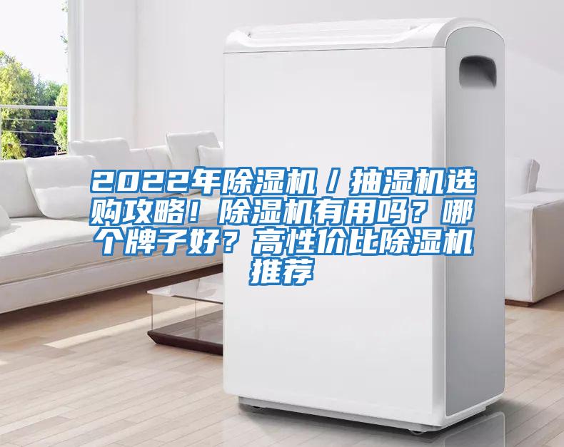 2022年除濕機／抽濕機選購攻略！除濕機有用嗎？哪個牌子好？高性價比除濕機推薦