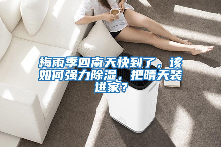梅雨季回南天快到了，該如何強(qiáng)力除濕，把晴天裝進(jìn)家？