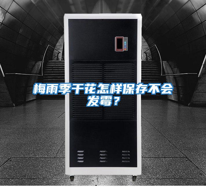 梅雨季干花怎樣保存不會發霉？