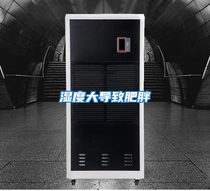 濕度大導致肥胖