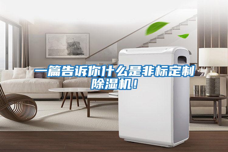 一篇告訴你什么是非標定制除濕機！