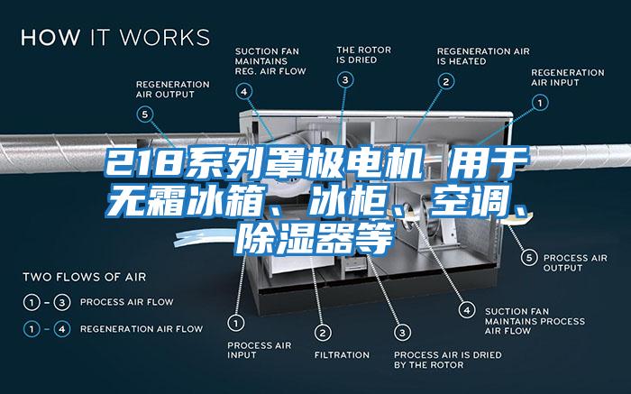 218系列罩極電機(jī) 用于無(wú)霜冰箱、冰柜、空調(diào)、除濕器等