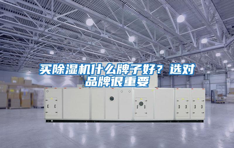 買除濕機什么牌子好？選對品牌很重要