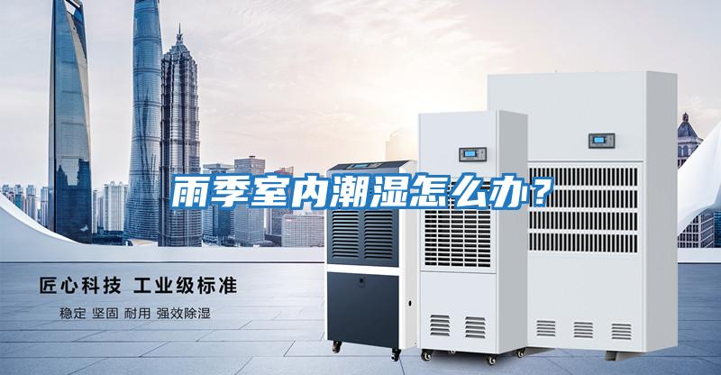 雨季室內潮濕怎么辦？