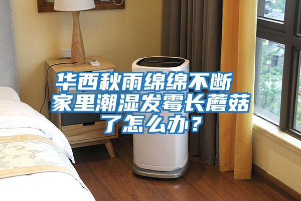 華西秋雨綿綿不斷 家里潮濕發霉長蘑菇了怎么辦?
