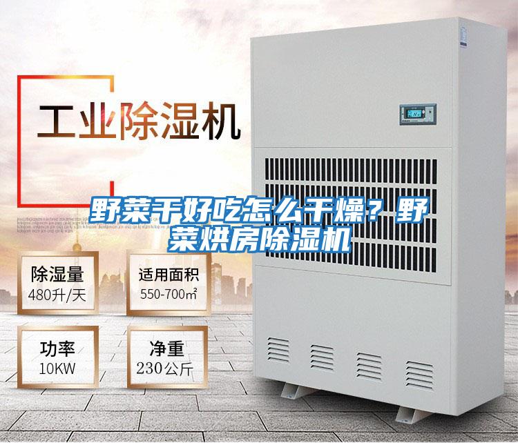野菜干好吃怎么干燥？野菜烘房除濕機