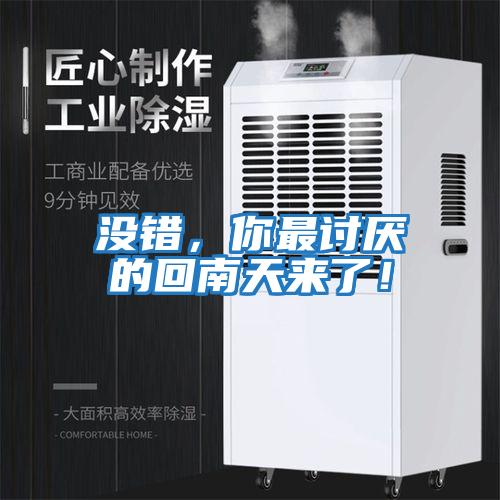 沒錯,你最討厭的回南天來了!