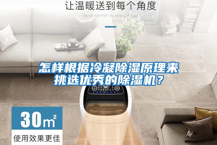 怎樣根據冷凝除濕原理來挑選優秀的除濕機？